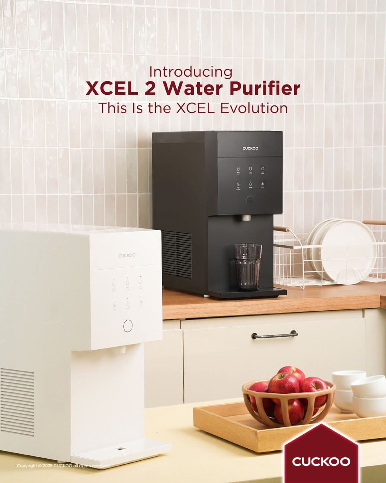 XCEL 2 cuckoo - banner
